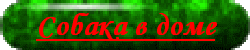 09 Собака в доме.gif